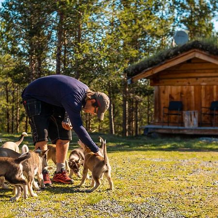 Jotunheimen Husky Lodge Randsverk ภายนอก รูปภาพ