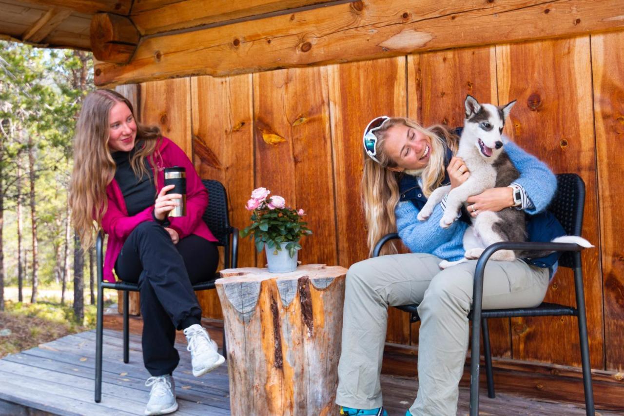 Jotunheimen Husky Lodge Randsverk ภายนอก รูปภาพ