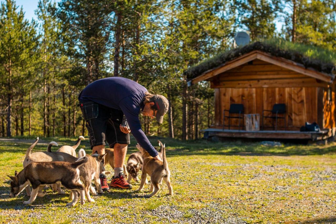 Jotunheimen Husky Lodge Randsverk ภายนอก รูปภาพ