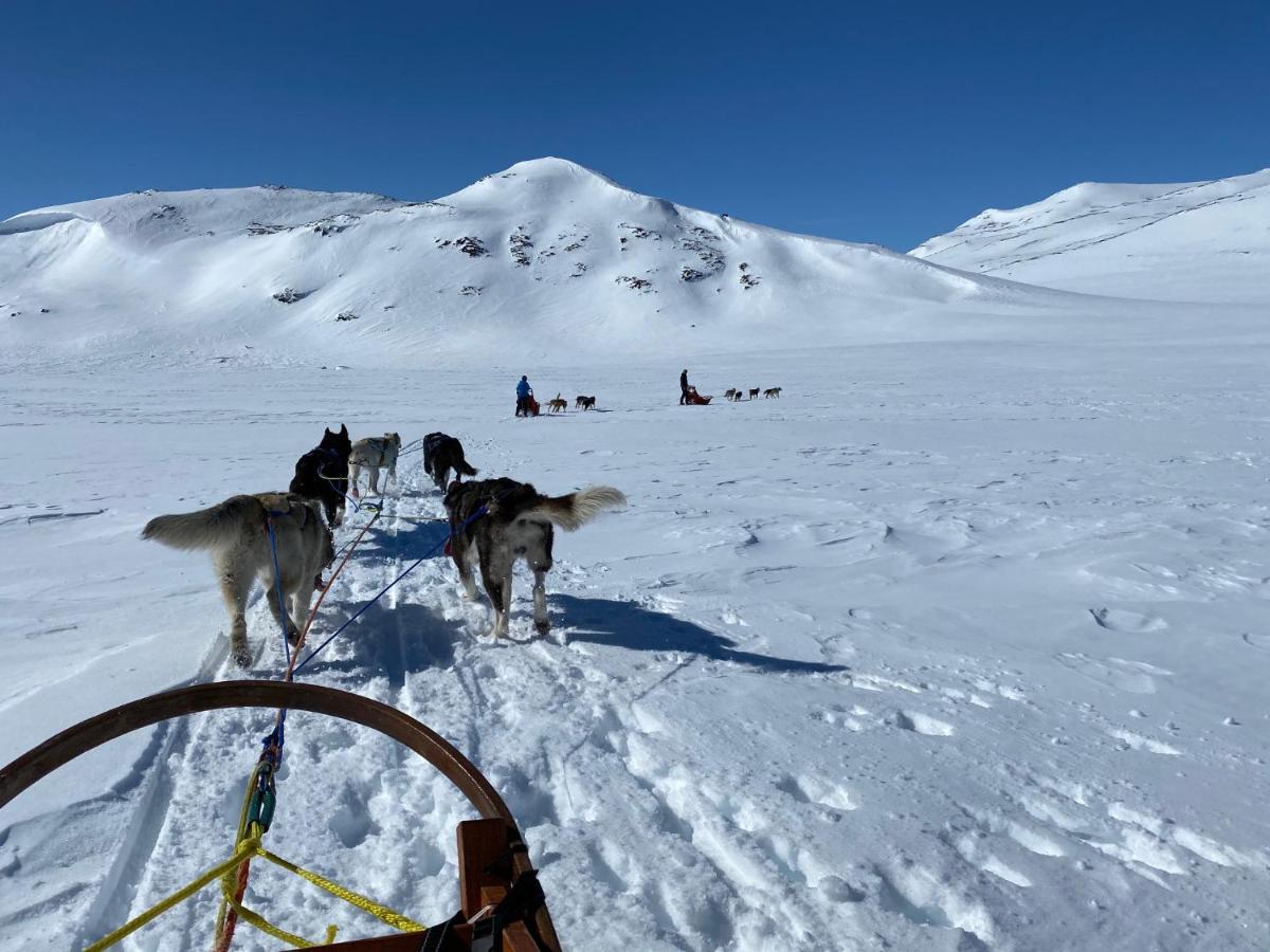 Jotunheimen Husky Lodge Randsverk ภายนอก รูปภาพ
