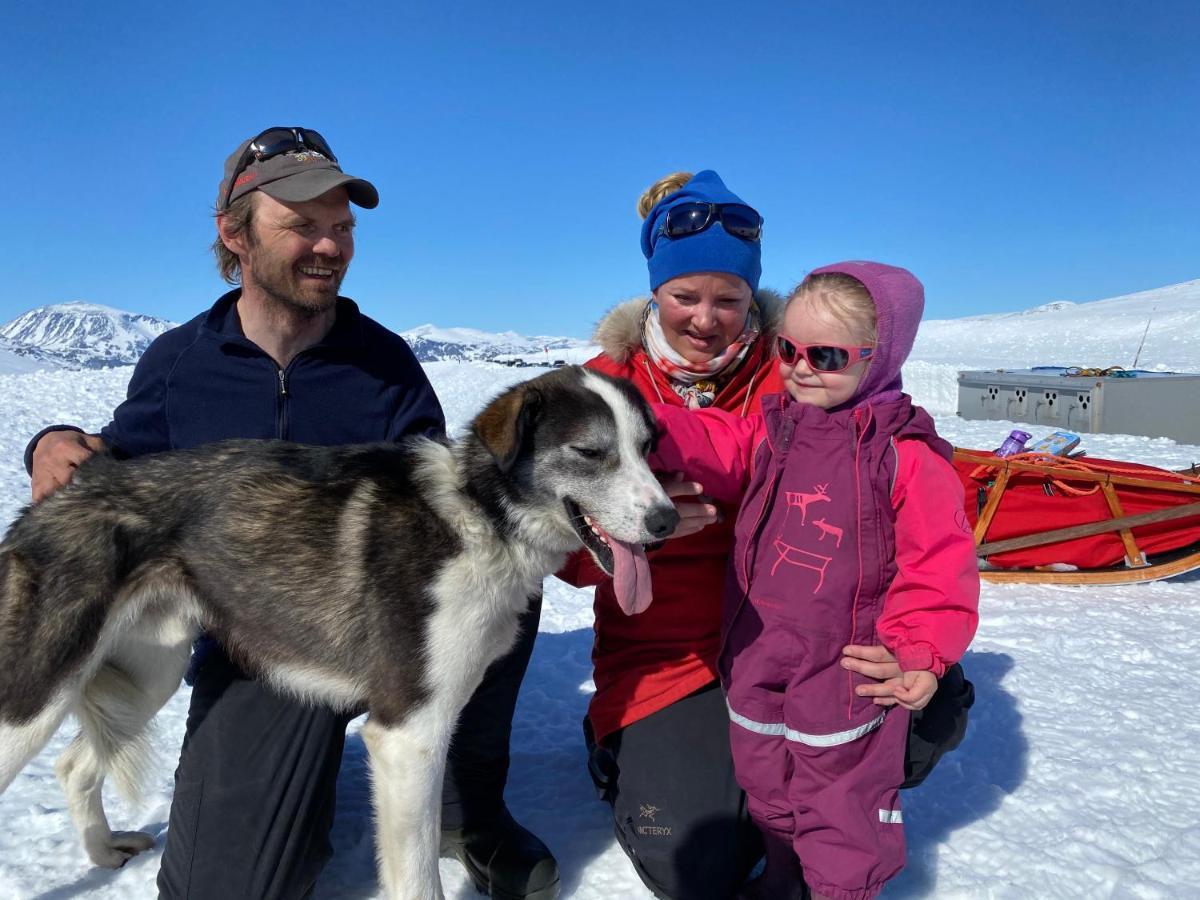 Jotunheimen Husky Lodge Randsverk ภายนอก รูปภาพ